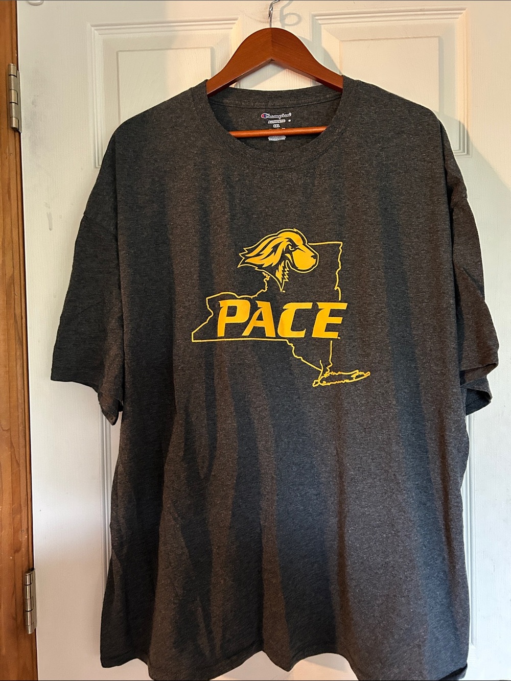 Champion Charcoal Short-Sleeve Pace Graphic Tee with Yellow Logo